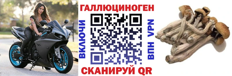 Псилоцибиновые грибы Cubensis Холмск