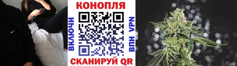сколько стоит  OMG вход  Марихуана сатива  Холмск 